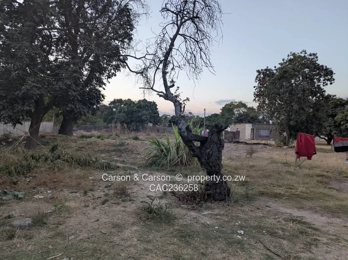 Waterfalls: 3-bed Home on 4600 m2 