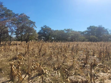 Farm & Agricultural Land