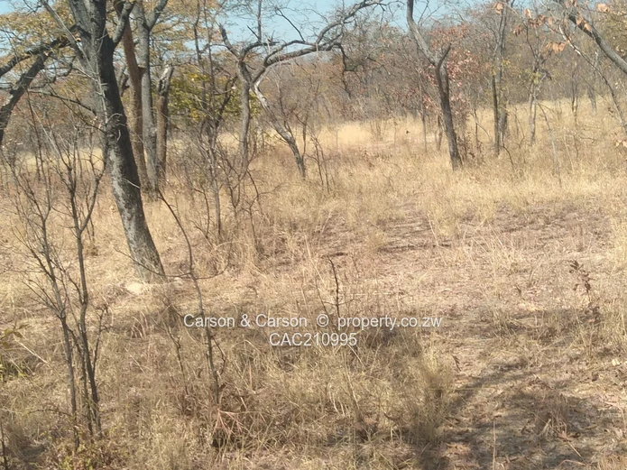 15Ha Farm & Agricultural Land in Mhondoro Ngezi with ZESA (Sole Mandate)