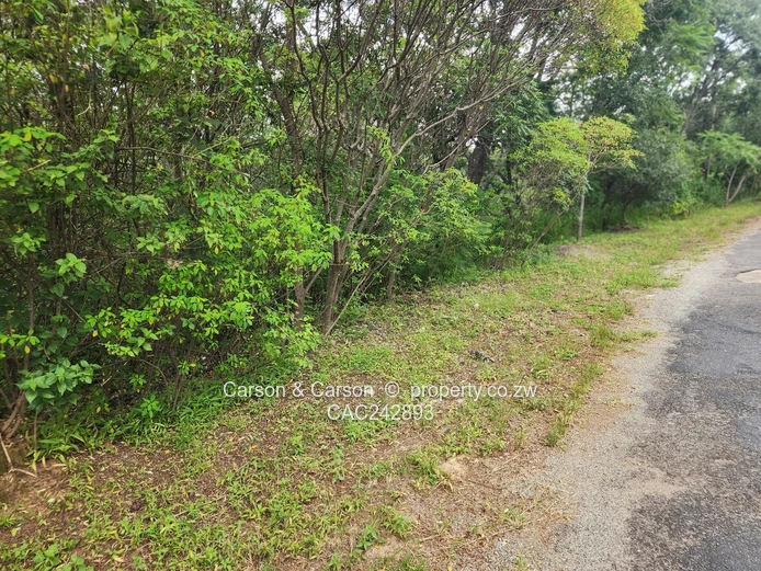 Chisipite 5500m² — Tree-Lined Stand with Tarred Main Road Frontage