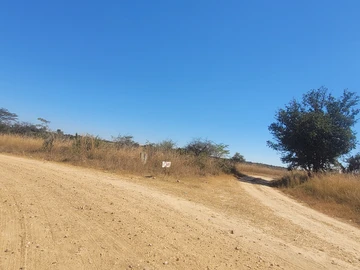 Farm & Agricultural Land