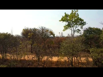 Farm & Agricultural Land