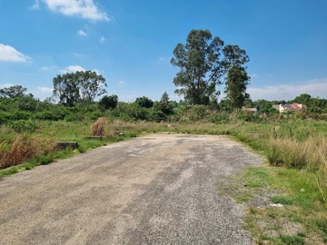 Stands & Residential Land