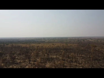 Farm & Agricultural Land