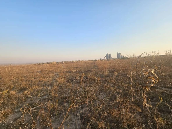 Commercial & Industrial Land