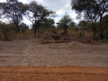 Farm & Agricultural Land