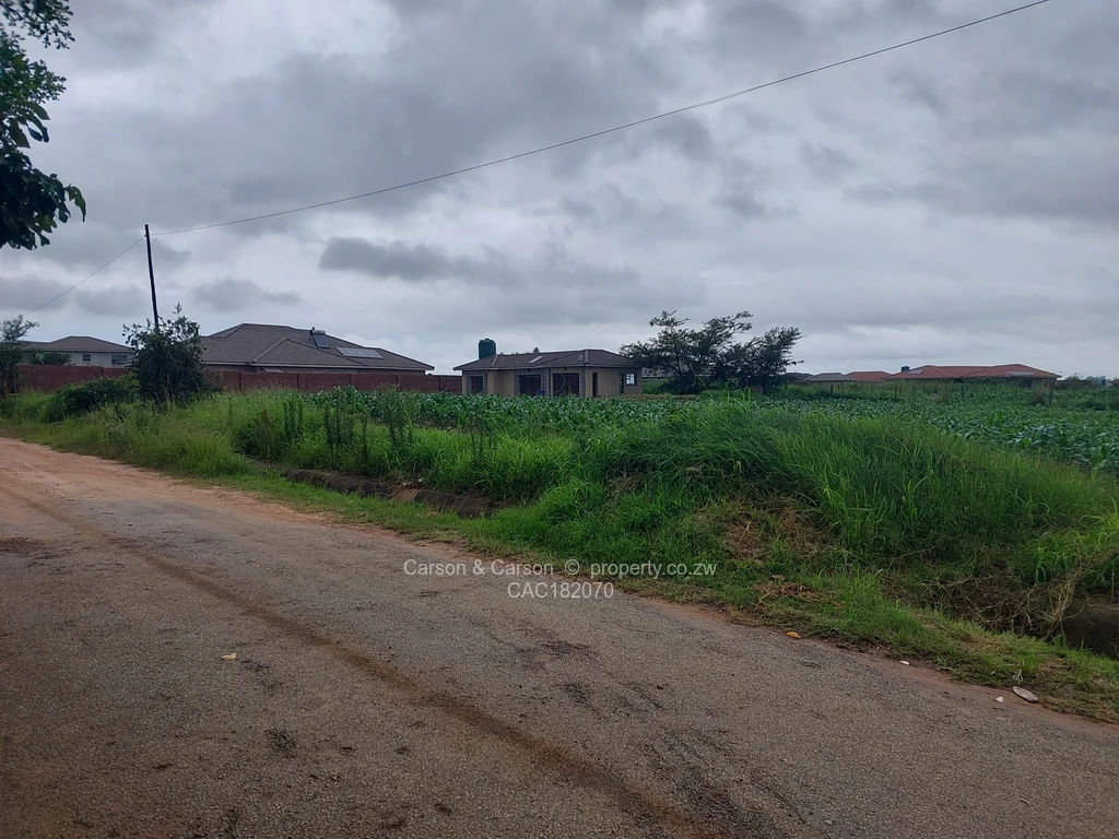 Stands & Residential Land for Sale in Philips Lane, Haydon Park | CAC182070