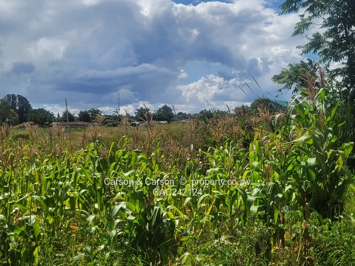 Prime, well established and mature suburb of Chadcombe with massive invetment potential