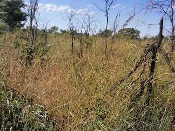 Farm & Agricultural Land