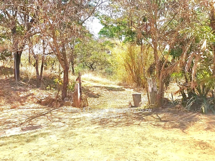 Mature Neighbourhood 