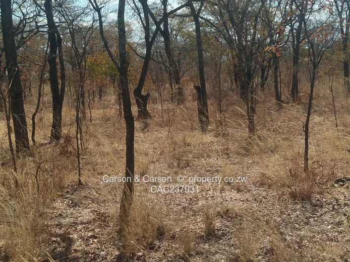 A good opportunity for investment  (Sole Mandate)