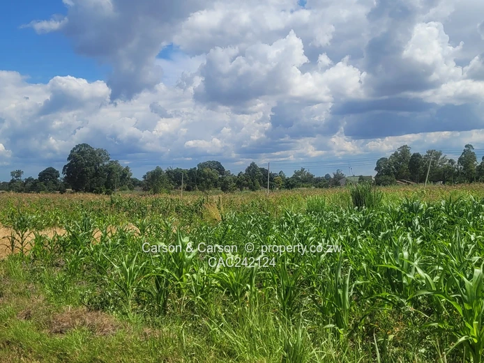 Prime, well established and mature suburb of Chadcombe with massive invetment potential