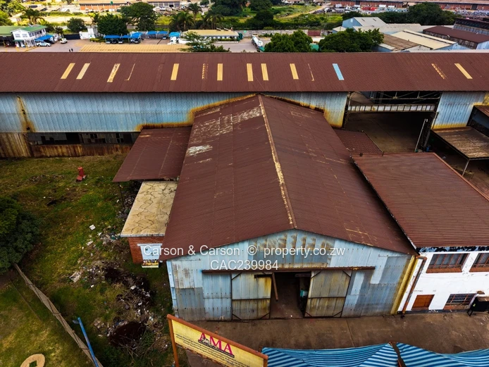 Huge Industrial Property 