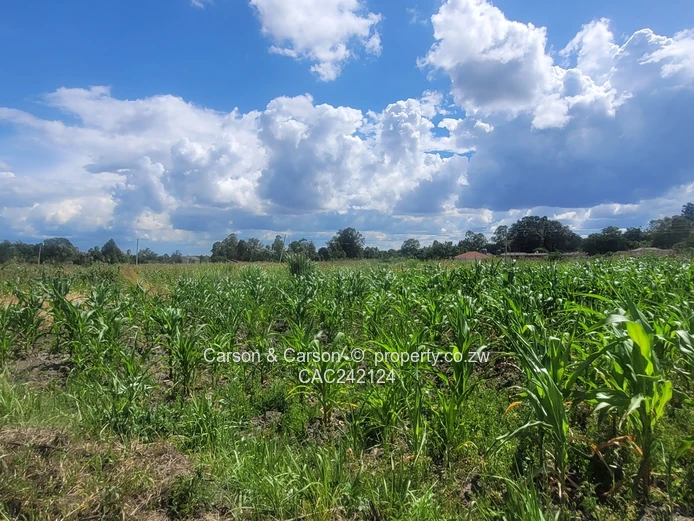 Prime, well established and mature suburb of Chadcombe with massive invetment potential