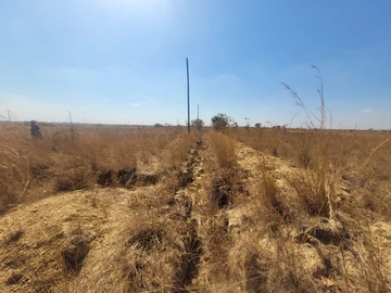 Stands & Residential Land