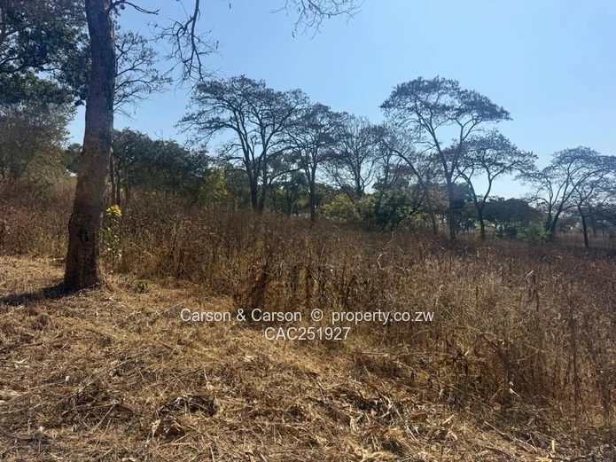 Residential stand for sale