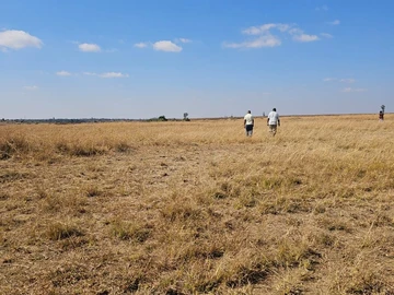 Farm & Agricultural Land