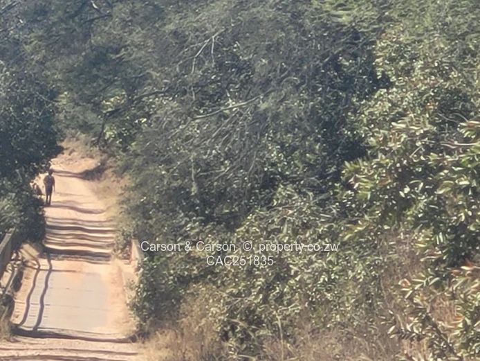 Chivhu, Mashonaland East, A Rare Opportunity for Commercial and or Lifestyle Farming