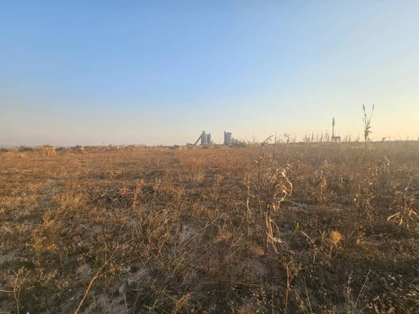 Commercial & Industrial Land