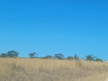 Farm & Agricultural Land