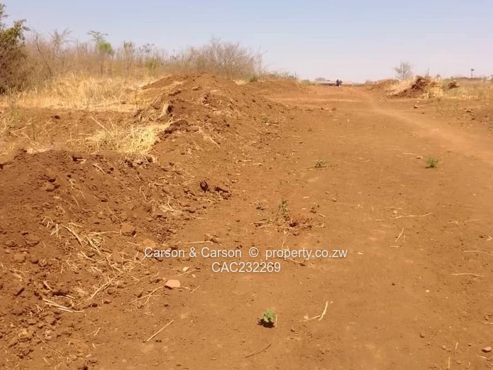 Residential stands for sale grab Christmas specials 