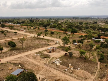 Stands & Residential Land