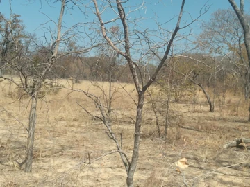 Farm & Agricultural Land