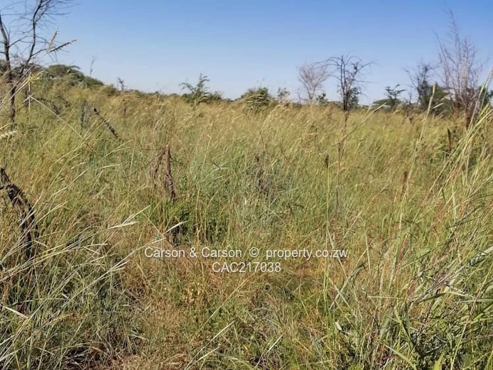 Reduced to go!!! 177-Hectare Chakare Farm Awaiting You! (Sole Mandate)