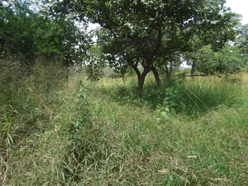 30-Hectare Agrarian Land For Sale in Marondera, Bromley with Great Features!