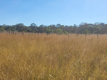 Farm & Agricultural Land
