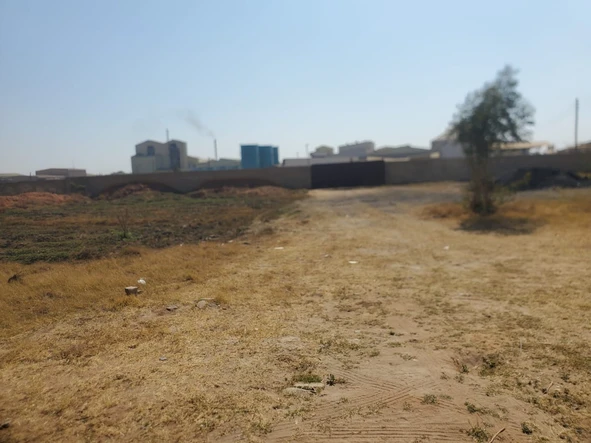 Stands & Residential Land