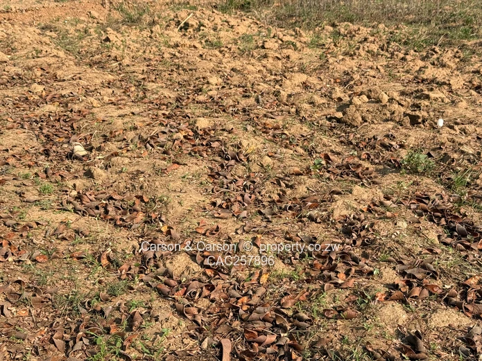 Stand located in Prime Residential Suburb - Kwekwe, Msasa
