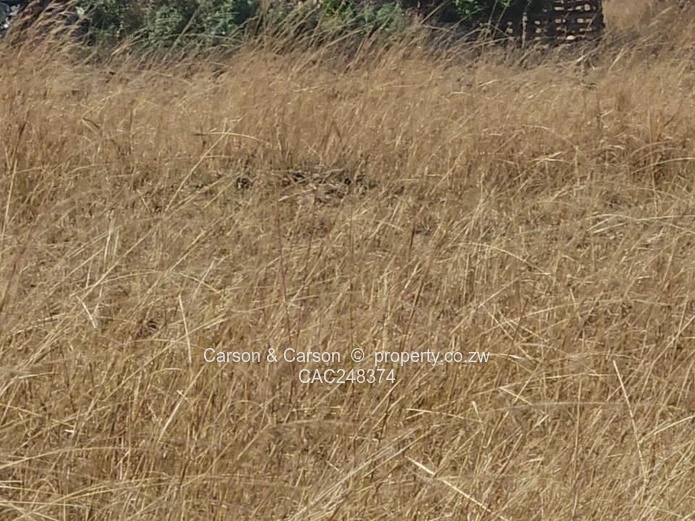 10ha Nyabira Farm - Open Dry-Grass Veld, Subdivision Potential