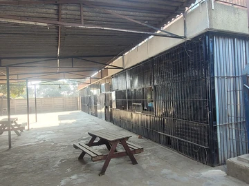 Shop & Retail Property