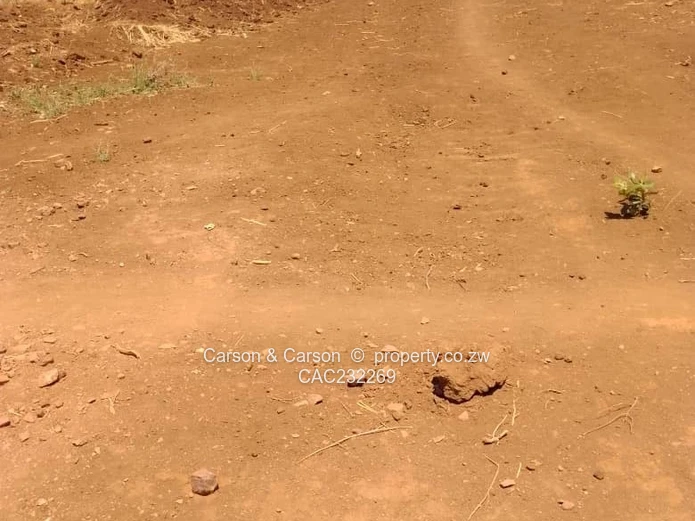 Residential stands for sale grab Christmas specials 