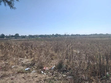Commercial & Industrial Land