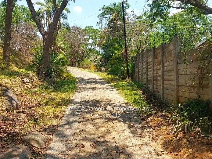 Mature Neighbourhood 
