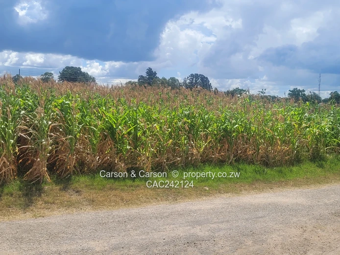 Prime, well established and mature suburb of Chadcombe with massive invetment potential