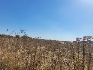 Commercial & Industrial Land