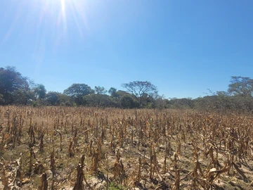 Farm & Agricultural Land