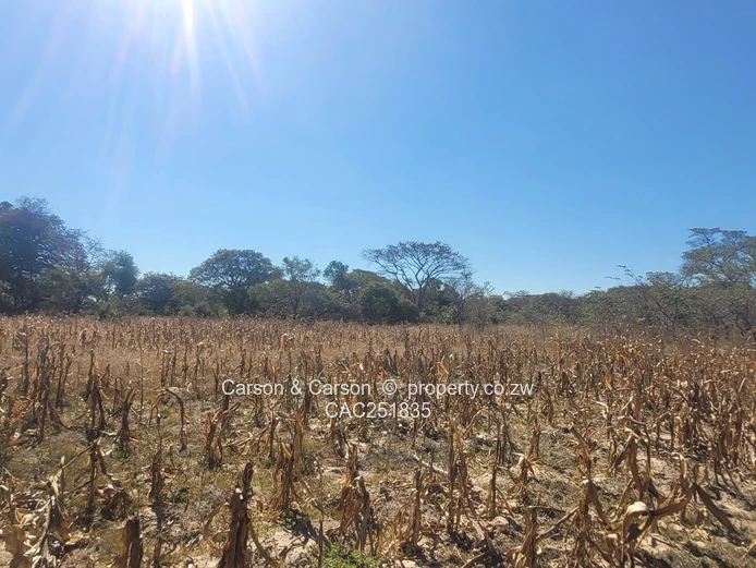 Chivhu, Mashonaland East, A Rare Opportunity for Commercial and or Lifestyle Farming