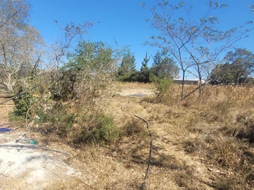 Farm & Agricultural Land