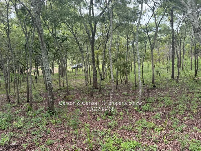 Vacant residential stand for sale in Umwinsidale  (Sole Mandate)