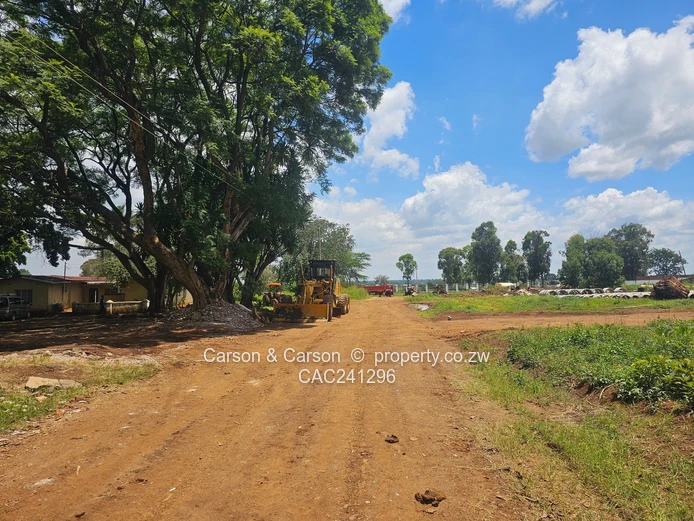 Cluster stands for sale