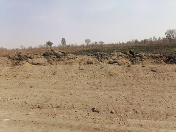 Farm & Agricultural Land