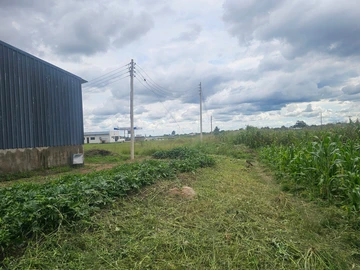 Commercial & Industrial Land