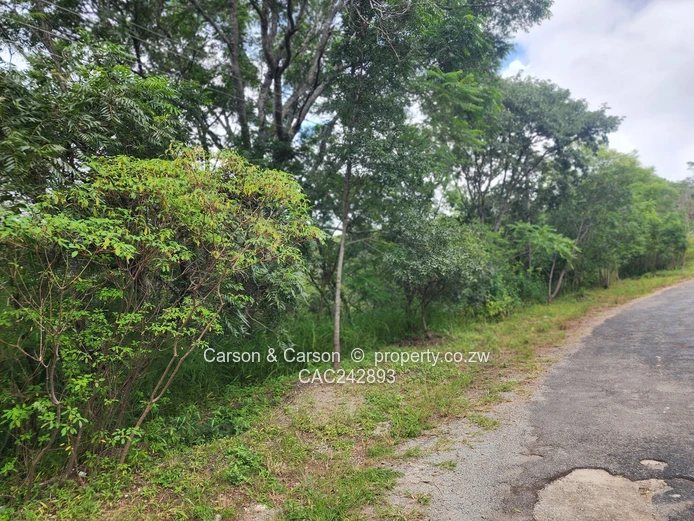 Chisipite 5500m² — Tree-Lined Stand with Tarred Main Road Frontage