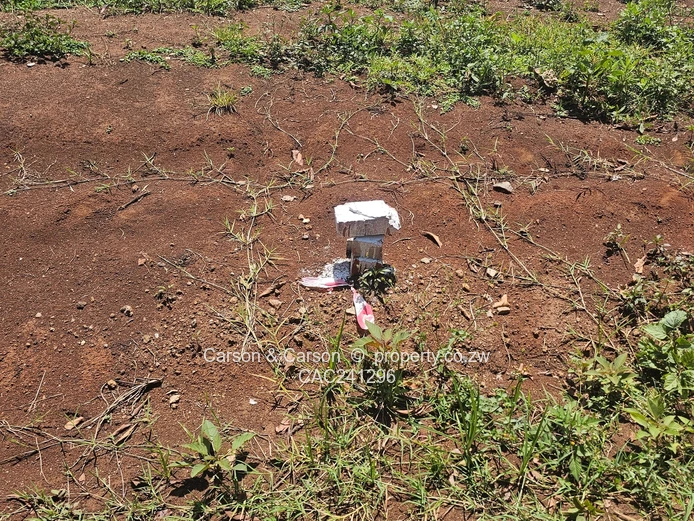 Cluster stands for sale