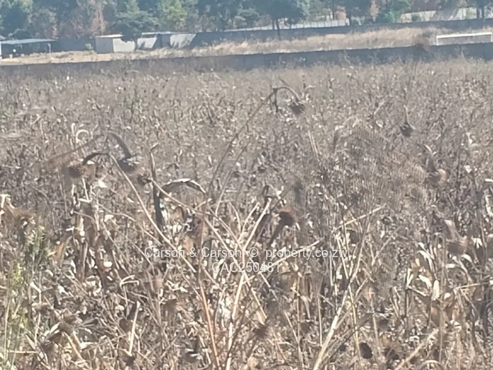 2000 m² Commercial/Industrial Land — Chitungwiza Main Road
