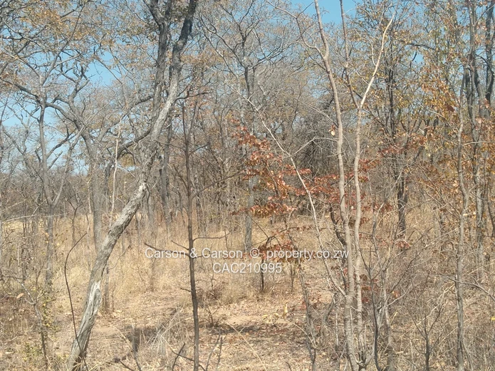 15Ha Farm & Agricultural Land in Mhondoro Ngezi with ZESA (Sole Mandate)